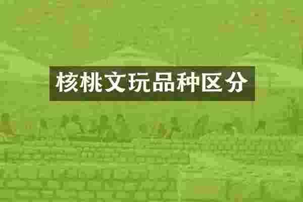 核桃文玩品种区分