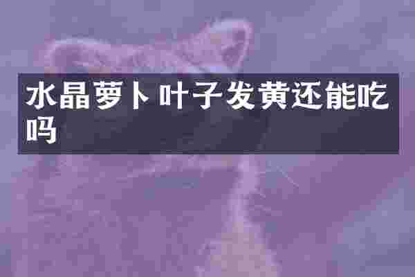 水晶萝卜叶子发黄还能吃吗