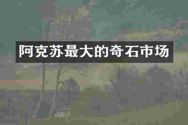 阿克苏最大的奇石市场