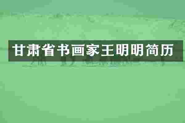 甘肃省书画家王明明简历