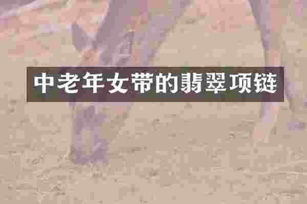 中老年女带的翡翠项链