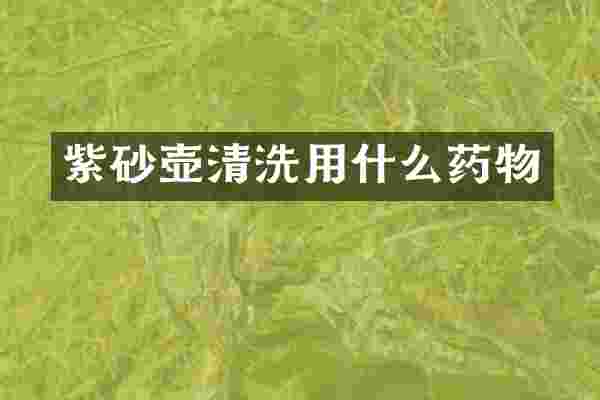 紫砂壶清洗用什么药物