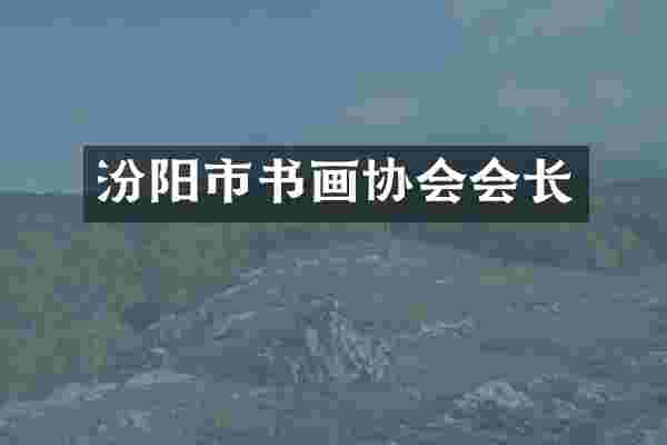 汾阳市书画协会会长