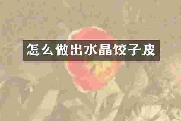 怎么做出水晶饺子皮
