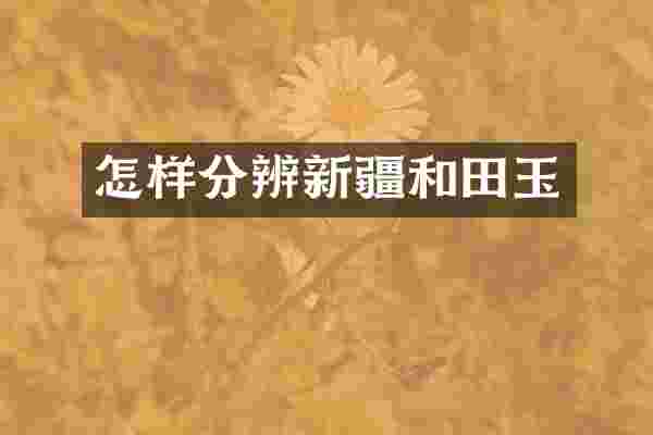 怎样分辨新疆和田玉