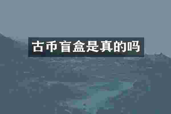 古币盲盒是真的吗