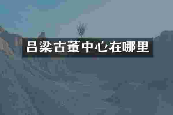 吕梁古董中心在哪里
