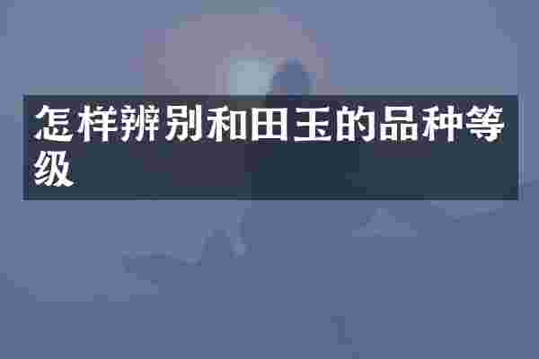 怎样辨别和田玉的品种等级