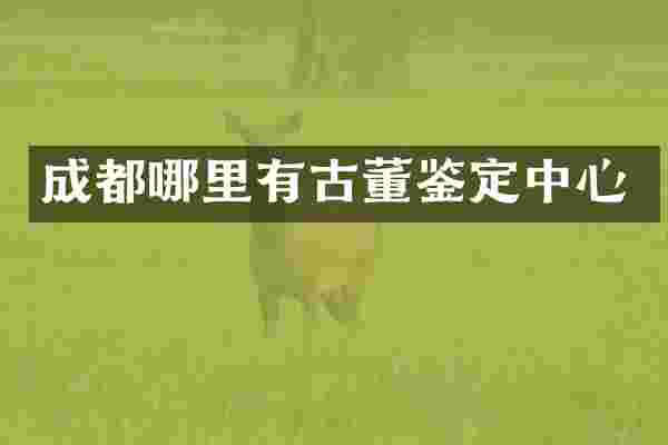 成都哪里有古董鉴定中心