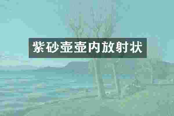 紫砂壶壶内放射状