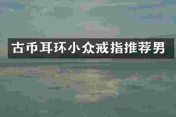 古币耳环小众戒指推荐男