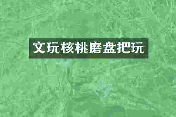 文玩核桃磨盘把玩