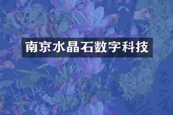 南京水晶石数字科技