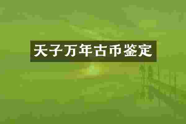 天子万年古币鉴定