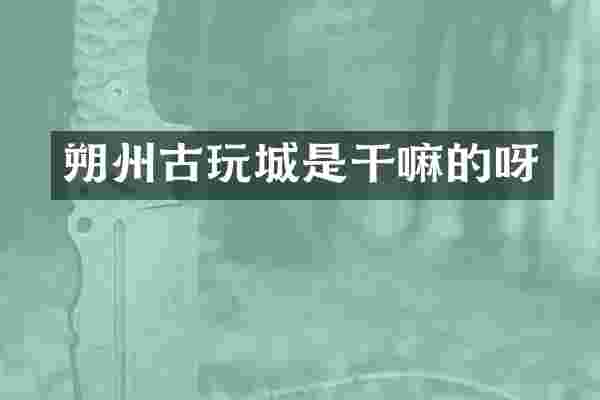 朔州古玩城是干嘛的呀