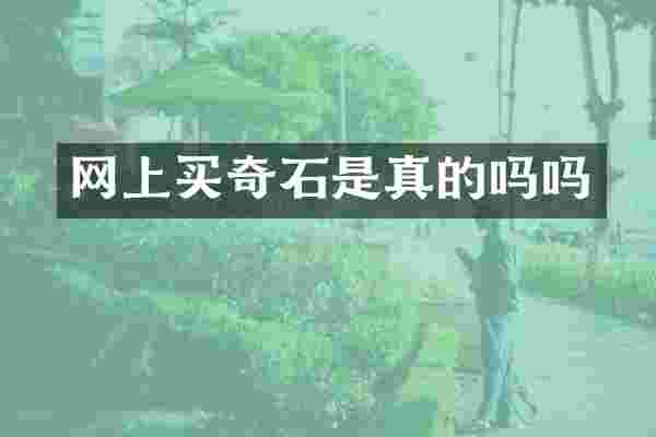 网上买奇石是真的吗吗