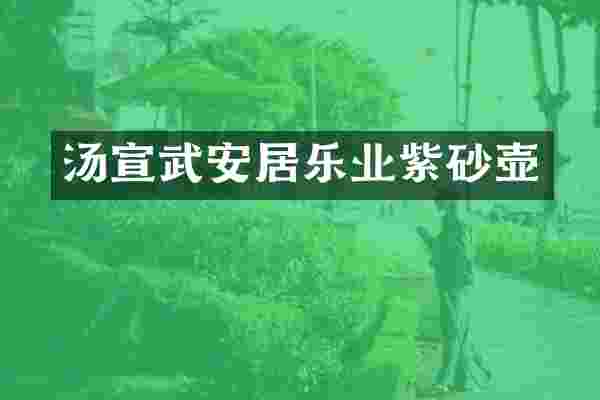 汤宣武安居乐业紫砂壶