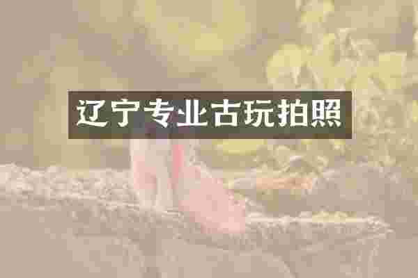 辽宁专业古玩拍照