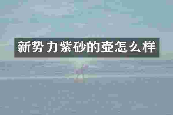 新势力紫砂的壶怎么样