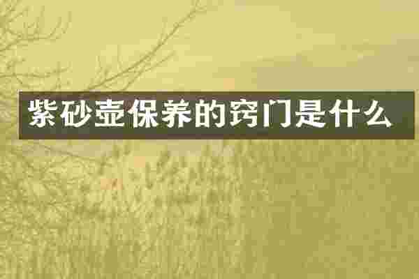 紫砂壶保养的窍门是什么