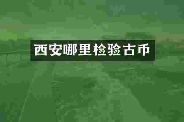 西安哪里检验古币