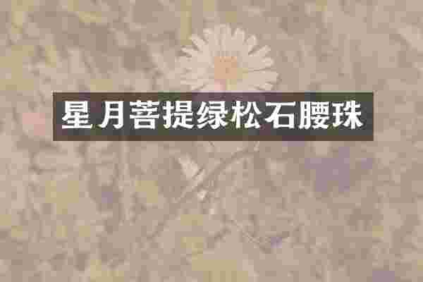 星月菩提绿松石腰珠
