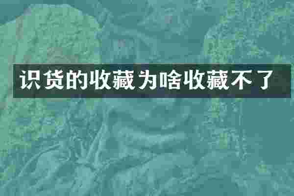 识货的收藏为啥收藏不了