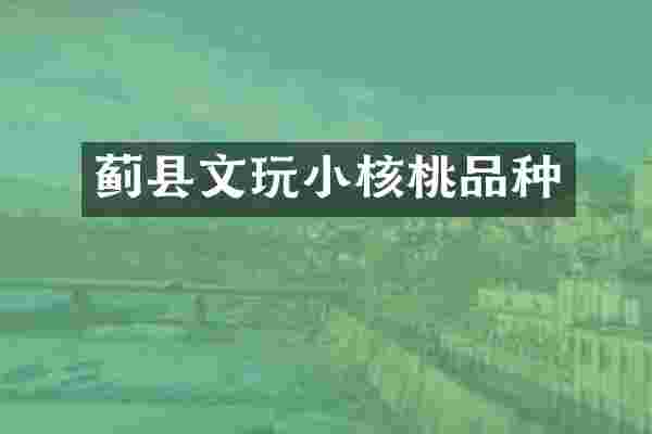 蓟县文玩小核桃品种