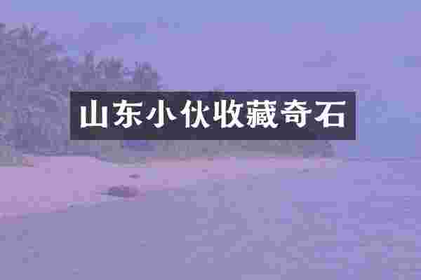 山东小伙收藏奇石