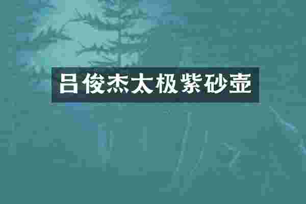 吕俊杰太极紫砂壶