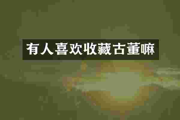 有人喜欢收藏古董嘛