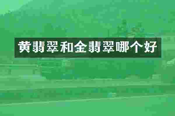 黄翡翠和金翡翠哪个好