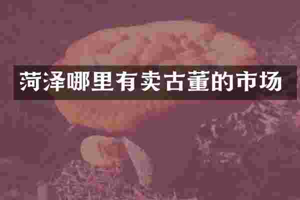 菏泽哪里有卖古董的市场