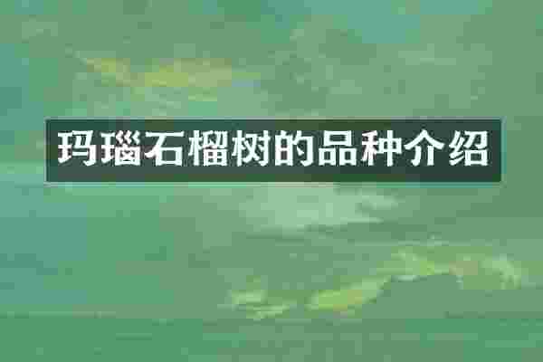 玛瑙石榴树的品种介绍