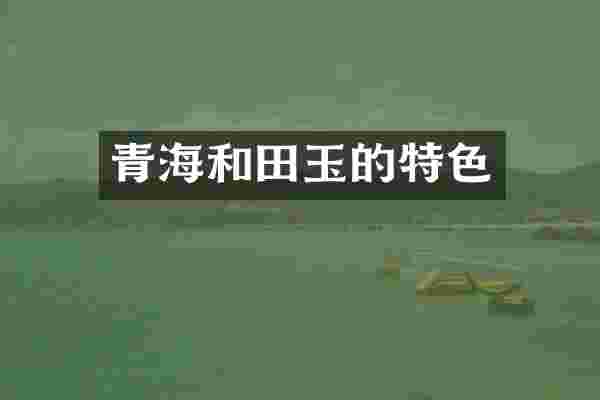 青海和田玉的特色