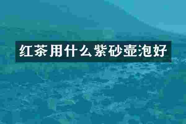 红茶用什么紫砂壶泡好
