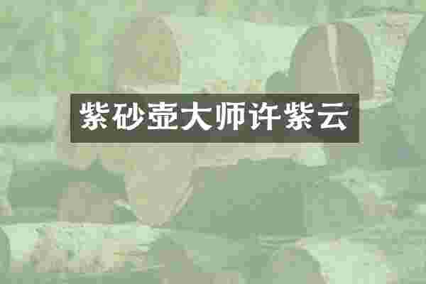 紫砂壶大师许紫云