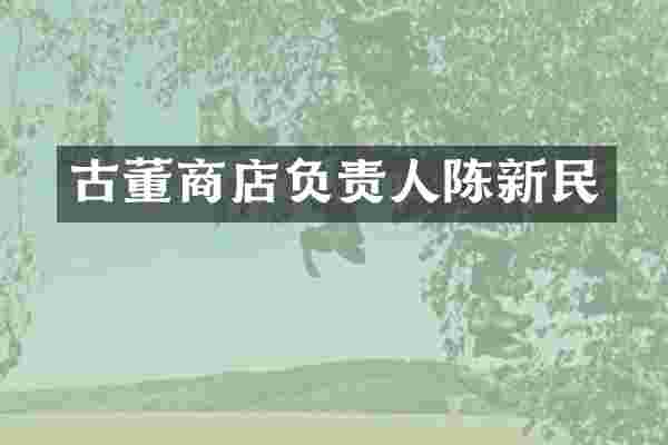古董商店负责人陈新民