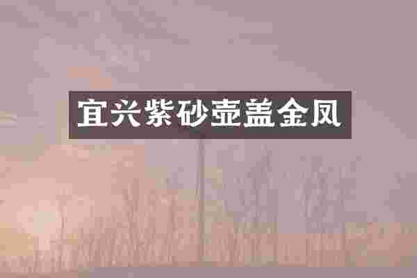 宜兴紫砂壶盖金凤