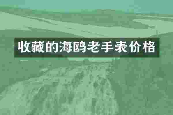 收藏的海鸥老手表价格