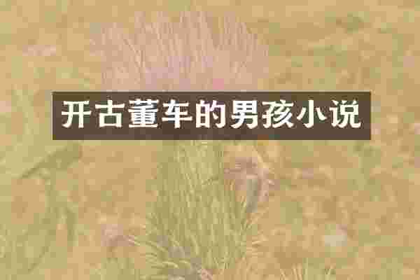 开古董车的男孩小说