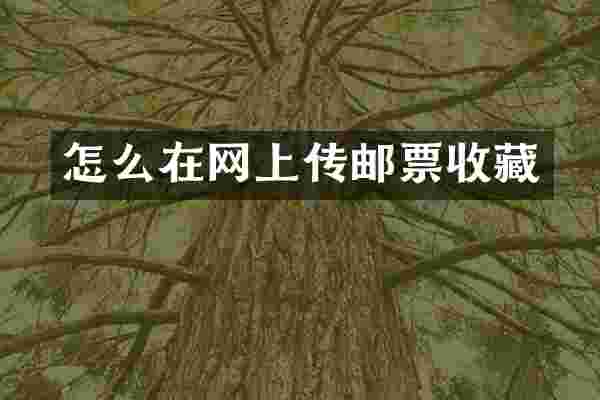 怎么在网上传邮票收藏