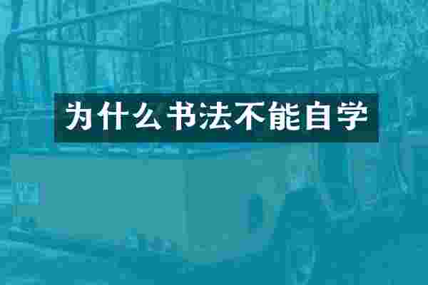 为什么书法不能自学