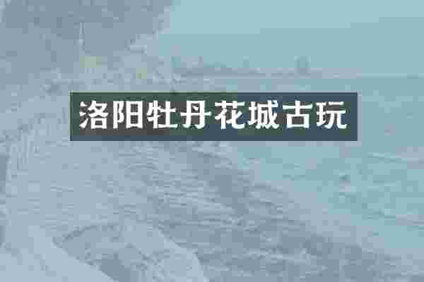 洛阳牡丹花城古玩
