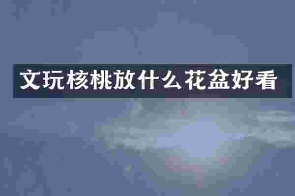 文玩核桃放什么花盆好看