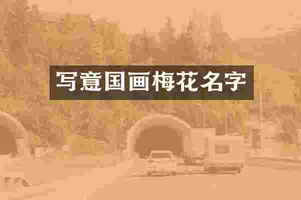写意国画梅花名字