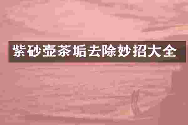 紫砂壶茶垢去除妙招大全