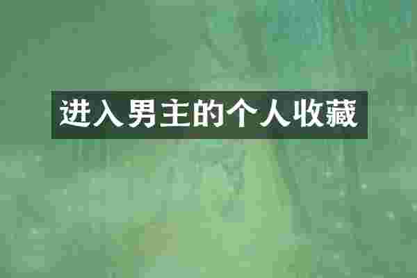 进入男主的个人收藏
