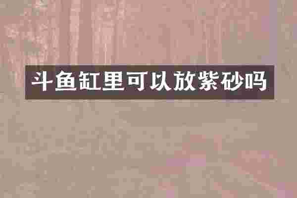 斗鱼缸里可以放紫砂吗