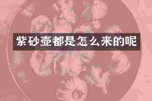 紫砂壶都是怎么来的呢